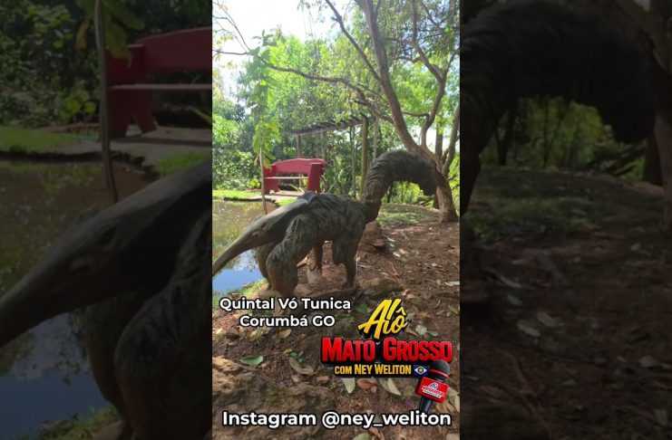 *QUINTAL VÓ TUNICA EM CORUMBÁ DE GOIÁS*