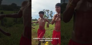 *CORRIDA COM TORA DE BURITI POVO XAVANTE*